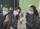 티웨이항공, '함께하개' 반려동물과 함께하는 봉사 진행 