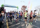 태안군 '제4회 문화체육관광부장관배 충청남도 전국어울림마라톤대회' 접수 시작