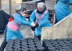 한국타이어, 연탄 나눔으로 취약계층에 온기 전달