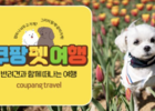 쿠팡, 