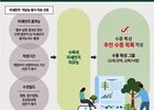 도심 미세먼지 막는 숨은 해법…가로수 설계가 답이다