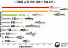 자연산 민물고기 회로 먹으면 큰일!