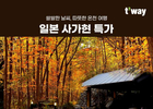 티웨이항공, 일본 사가 노선 겨냥 ‘온천 여행 특가전’ 진행