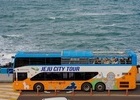 아시아나항공 타고 제주시티투어버스 타면 33% 할인 혜택 제공