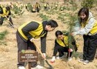 한샘, 시흥시와 함께 ‘행복의숲’ 조성 나서