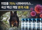‘차기 팬데믹 후보’ 니파바이러스…한국, 백신 개발 착수