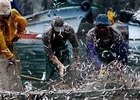 사계절 축제가 펼쳐지는 남해로 오세요!