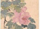 국립고궁박물관, '안녕, 모란' 특별전 개최