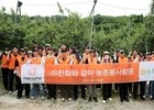 한화 임직원, 농촌 찾아 구슬땀… 연천 사과농가 일손 지원