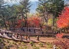 남산 하늘숲길, 한 달 만에 9만 명