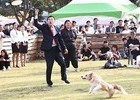 경주시, 음식점 반려동물 동반 허용