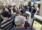  전산장애로 진에어 50편 지연, 일부노선 대한항공 대체편 투입