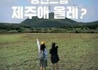70만원 들고 청년들의 제주 체류 도전기