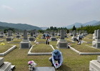 국립대전현충원 묘역 태극기 꽂기 봉사활동 '구슬땀'