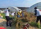 인천서 달려간 온정…적십자, 홍성 수해현장 복구 지원