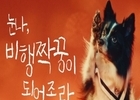 아시아나항공과 함께하는 '비행짝꿍' 모집