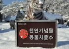 우치동물원, ‘천연기념물 동물치료소’ 지정