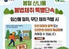 드론까지 뜬다…봄 산나물 채취, 이제 단속 전쟁